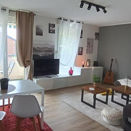 Stylish 1-Bedroom Flat With Beautiful Terrace , For A Cosy Retreat 스트라스부르 외부 사진